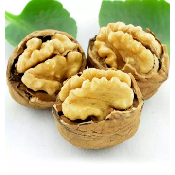 Chinese walnut in shell price